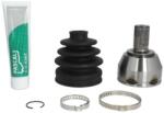 PASCAL Set articulatie, planetara PASCAL G1G050PC (G1G050PC) - fixbox