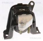 TRISCAN Suport motor TRISCAN 8505 13100 (8505 13100) - fixbox