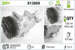 VALEO Compresor, climatizare VALEO 813809 (813809)