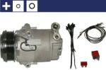 MAHLE Compresor, climatizare MAHLE ACP 24 000S (ACP 24 000S)