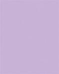 FOLIA Декоративен картон, двустранен, a4, 220 г, 100 листа, folia, лилав 6122/4/31 (6122/4/31)