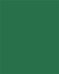 FOLIA Carton decorativ, față-verso, A4, 220 g, 100 de coli, FOLIA, verde pin 6122/4/58 (6122/4/58)