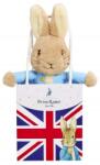Rainbow Designs Jucărie de pluș Rainbow Designs - Peter Rabbit în pungă cadou (5014475023087)
