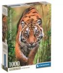 Clementoni HQC Tigru de atac, pachet de 1000 de bucăți Puzzle