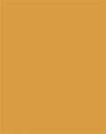 FOLIA Декоративен картон, двустранен, a4, 220 г, 100 листа, folia, охра 6122/4/17 (6122/4/17)