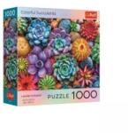 Trefl Cutie pătrată cu poster - Suculente colorate Puzzle