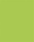 FOLIA Carton decorativ, față-verso, format A4, 220 g, 100 de coli, FOLIA, verde de mai 6122/4/50 (6122/4/50)