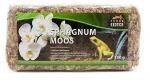 Terra Exotica Tropical Sphagnum Moos mohatömb 10l