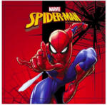 Marvel Pókember Spidey kéztörlő, arctörlő, törölköző 30x30 cm Nr 03