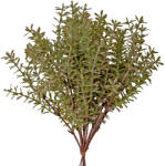 Valex Decor Édesgyökér köteg, 12 szálas, 26cm magas (AF069-01)