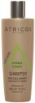  Șampon pentru Scalp Gras și Sensibil cu Lecitină Atricos, 300 ml