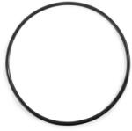 Intex Inel O, Intex, pentru stații de tratare a apei, One Size, negru, cauciuc, inel de etanșare, compatibil cu sistemele de filtrare Intex (11232) (11232)