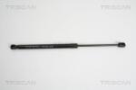 TRISCAN Amortizor portbagaj TRISCAN 8710 10207 (8710 10207) - fixbox