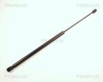 TRISCAN Amortizor portbagaj TRISCAN 8710 24206 (8710 24206) - fixbox