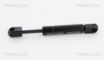 TRISCAN Amortizor portbagaj TRISCAN 8710 25262 (8710 25262) - fixbox