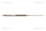 TRISCAN Amortizor portbagaj TRISCAN 8710 14234 (8710 14234) - fixbox