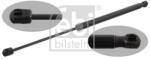Febi Bilstein Amortizor portbagaj FEBI BILSTEIN 31666 (31666) - fixbox