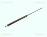 TRISCAN Amortizor portbagaj TRISCAN 8710 25222 (8710 25222) - fixbox