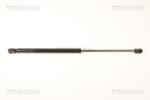TRISCAN Amortizor portbagaj TRISCAN 8710 24237 (8710 24237) - fixbox