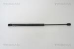 TRISCAN Amortizor portbagaj TRISCAN 8710 29272 (8710 29272) - fixbox