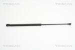 TRISCAN Amortizor portbagaj TRISCAN 8710 28232 (8710 28232) - fixbox