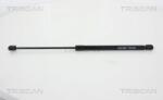 TRISCAN Amortizor portbagaj TRISCAN 8710 29294 (8710 29294) - fixbox