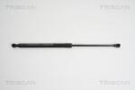 TRISCAN Amortizor portbagaj TRISCAN 8710 28236 (8710 28236) - fixbox