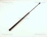 TRISCAN Amortizor portbagaj TRISCAN 8710 29243 (8710 29243) - fixbox