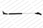 LESJÖFORS Amortizor portbagaj LESJÖFORS 8188902 (8188902) - fixbox