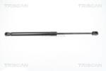 TRISCAN Amortizor portbagaj TRISCAN 8710 18223 (8710 18223) - fixbox
