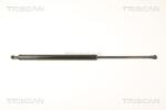 TRISCAN Amortizor portbagaj TRISCAN 8710 28238 (8710 28238) - fixbox