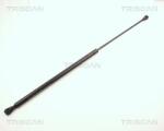 TRISCAN Amortizor portbagaj TRISCAN 8710 2504 (8710 2504) - fixbox
