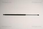 TRISCAN Amortizor portbagaj TRISCAN 8710 11235 (8710 11235) - fixbox