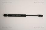 TRISCAN Amortizor portbagaj TRISCAN 8710 16253 (8710 16253) - fixbox
