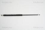 TRISCAN Amortizor portbagaj TRISCAN 8710 28233 (8710 28233) - fixbox
