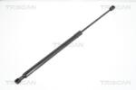 TRISCAN Amortizor portbagaj TRISCAN 8710 67210 (8710 67210) - fixbox