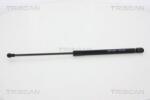 TRISCAN Amortizor portbagaj TRISCAN 8710 66207 (8710 66207) - fixbox