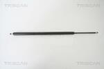 TRISCAN Amortizor portbagaj TRISCAN 8710 25230 (8710 25230) - fixbox