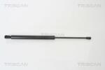 TRISCAN Amortizor portbagaj TRISCAN 8710 29253 (8710 29253) - fixbox