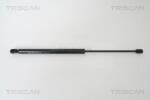 TRISCAN Amortizor portbagaj TRISCAN 8710 25232 (8710 25232) - fixbox