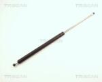 TRISCAN Amortizor portbagaj TRISCAN 8710 24212 (8710 24212) - fixbox