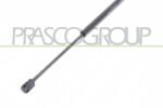 PRASCO Amortizor portbagaj PRASCO VG0369055 (VG0369055) - fixbox