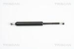 TRISCAN Amortizor portbagaj TRISCAN 8710 12211 (8710 12211) - fixbox