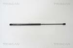 TRISCAN Amortizor portbagaj TRISCAN 8710 67208 (8710 67208) - fixbox