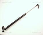 TRISCAN Amortizor portbagaj TRISCAN 8710 13236 (8710 13236) - fixbox