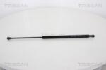 TRISCAN Amortizor portbagaj TRISCAN 8710 28237 (8710 28237) - fixbox