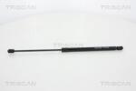 TRISCAN Amortizor portbagaj TRISCAN 8710 25257 (8710 25257) - fixbox