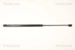 TRISCAN Amortizor portbagaj TRISCAN 8710 67212 (8710 67212) - fixbox