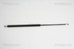 TRISCAN Amortizor portbagaj TRISCAN 8710 16246 (8710 16246) - fixbox