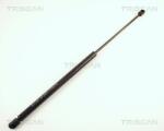 TRISCAN Amortizor portbagaj TRISCAN 8710 65201 (8710 65201) - fixbox